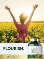 Carlyle Dong Quai Capsules | 250 Count | Non-GMO and Gluten Free Supplement | Traditional Herb