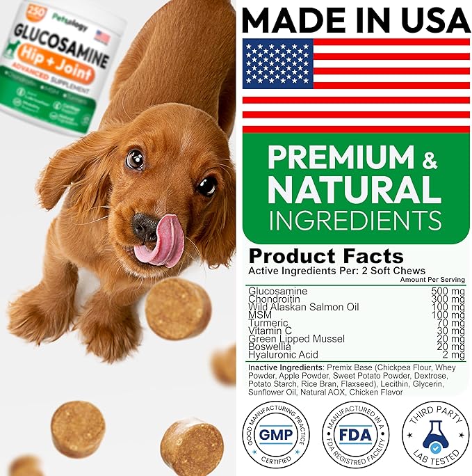Glucosamine for Dogs - 250 Chews with Chondroitin - Hip and Joint Supplement with MSM - Turmeric - Omega 3 - Joint Pain Relief - Advanced Support for Dog Health - For Large, Medium & Small Breeds