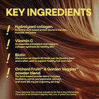 Nature’s Way Alive! Hair, Skin & Nails Gummies with Collagen and Biotin, Advanced Beauty Formula Supplement with Antioxidant Vitamins C & E*, Strawberry Flavored, 60 Gummies