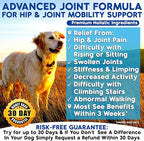 Well Loved Glucosamine for Dogs - Joint Supplement for Dogs, Made in USA, Vet Developed, Glucosamine Chondroitin, Hip and Joint Chews with MSM, Large Breed, Pain Relief, 120 Chews