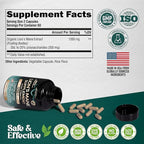 Lions Mane Supplement Capsules - Organic Lions Mane - Made in USA - Fruiting Bodies Extract - 1200 mg, 25% Polysaccharides - Memory & Focus Support - As Lions Powder - 120 Capsules, 2 Month Supply