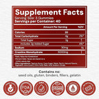 Creatine Monohydrate Gummies 5g - Only 2g Sugar, Made in USA - Sour Watermelon Flavor - Vegan & 3rd Party Tested - Pre & Post Workout Supplement for Women and Men (120 Count, 40 Servings)