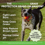 Grass Green Dog Urine Neutralizer for Lawns - Stops Yellow Burn Spots & Brown Grass - Lawn Saver Supplement with dl-Methionine, Probiotics & Digestive Enzymes - Green Grass Chews (Turkey, 90 Ct)