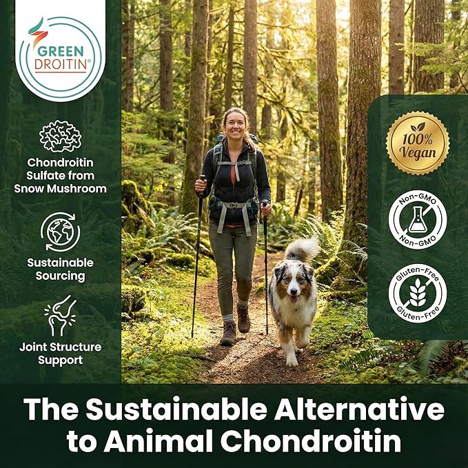 Vegan Glucosamine Chondroitin MSM Joint Support Supplement for Women and Men. Snow Mushroom Chondrotin Sulfate OptiMSM® Mobility, Cartilage & Flexibility Support Shellfish-Free, Non-GMO 120 Capsules