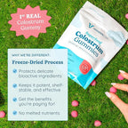 WONDERCOW Colostrum Gummies for Gut Health, Immune Support & Wellness | Natural IgG Whole Bovine Colostrum Supplement, 1,000mg per Serving (45 Gummies (15 Servings), Strawberry Cream)