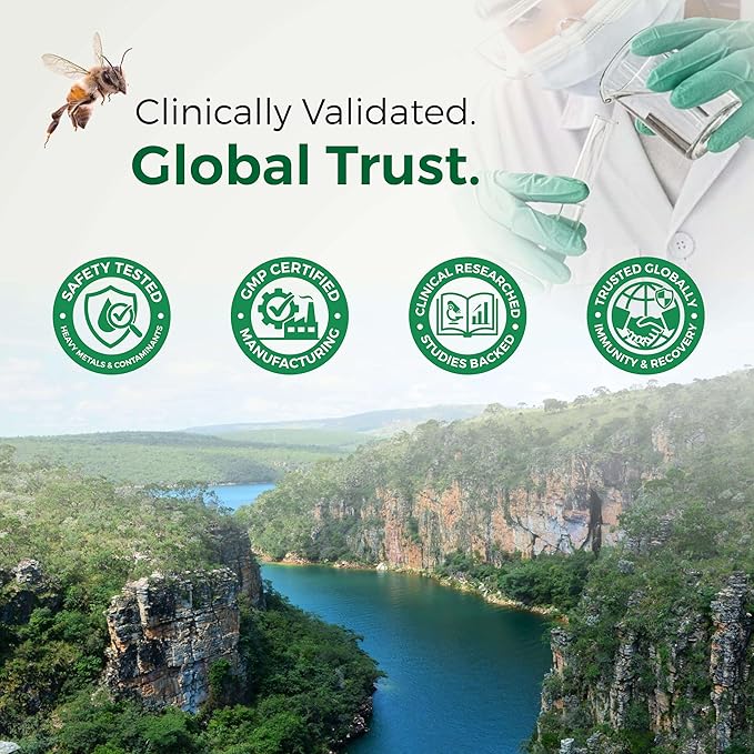 LABO Nutrition Brazilian Green Propolis Ultimate - Contains >7% or 28mg per Serving Artepillin C & >5% Flavonoids, for Immune & Brain Support, Natural, High Concentrate & Premium, 60 Veg Capsules