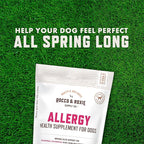 Rocco & Roxie Dog Allergy Relief Chews with Omega 3 for Dogs, Probiotics for Itching Skin, Stop Paw Licking, Fish Oil Skin and Coat Supplement, Anti-Itch, Pet Itchy Allergies and Immune Support, 60ct