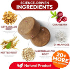 Dog UTI Treatment - 170 Cranberry Chews for Dogs - Urinary Tract Infection, Bladder & Kidney Health Multivitamin - Cranberry Supplement for Dogs with D-Mannose - Dog Vitamins and Supplements