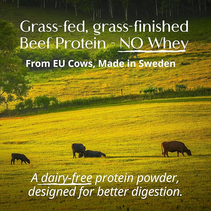 Wellena Her Protein – 3-in-1 Whey-Free Beef Isolate Formula with Creatine & Inositol – Grass-Fed Protein Powder – Dairy & Pea Free – Women’s Daily Nutrition