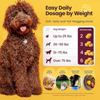 Glucosamine for Dogs Hip & Joint Supplement, Dog Glucosamine Chondroitin for Dogs, MSM & Turmeric – 120 Dog Joint Supplement Chews for Large & Small Breed