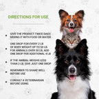 Lion's Anxiety | Natural Herbal Dietary Supplement for Cats | Support Stress Relief in Cats | Alcohol-Free Extract, Chamomile, Lemon Balm, Lavender, Linden, Fennel 2 oz