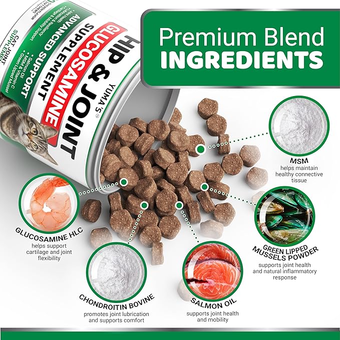 YUMA'S Cat Hip and Joint Health Supplement Chews – Advanced Glucosamine for Cats – MSM, Chondroitin & Omega-3 Salmon Oil – Supports Mobility, Joint Pain Relief, Cat Vitamins for Indoor & Outdoor Cats