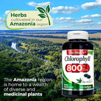 FITO MEDIC'S Lab Chlorophyll Supplement, 200 Softgels, Chlorophyll Capsules