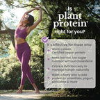 nbpure Vegan Pea Protein Powder, Vanilla – Lean Muscle + Hunger & Bloating Support for Women, Men, Kids – 25g Plant Protein Per Serving – No Artificial Sweeteners or Flavors, Gusset, 25 Servings