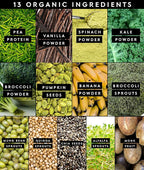 Truvani Protein + Greens Supplement | Spinach, Kale & Broccoli | 10g Organic Plant Based Protein | 20 Servings | USDA Organic | Gluten & Dairy Free | Vegan | No Added Sugar