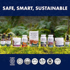 Host Defense Immune Gummies - 7 Species Blend - Mushroom Supplement for Immune Support - Includes Royal Sun Blazei, Cordyceps, Reishi, Maitake, Lion's Mane, Chaga & Mesima - 90 Gummies (30 Servings)