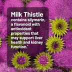 NatureWise Milk Thistle with Dandelion Root - Silymarin - Antioxidant Liver & Kidney Health Support Supplement - Vegan, Non-GMO, Gluten Free - 180 Count[180-Day Supply]