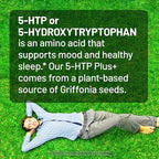 NatureWise 5-HTP 200mg Supplement from Griffonia Seeds with Cofactor Vitamin B6 - Mood Support and Natural Sleep Aid for Adults - Delayed-Release,Vegan - [2-Month Supply],60 Count (Pack of 2)
