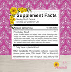 Menopause Supplement for Women Original Formula - Fast PMS & Menopause Relief - Hot Flashes, Trouble Sleeping, Mood Swings, Hair Loss, Low Energy (4 Months 120 Capsules)